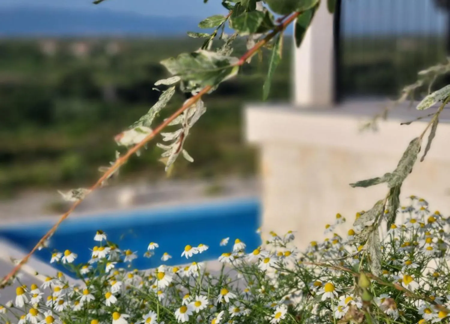 Holiday home Rocca Verde Murvica